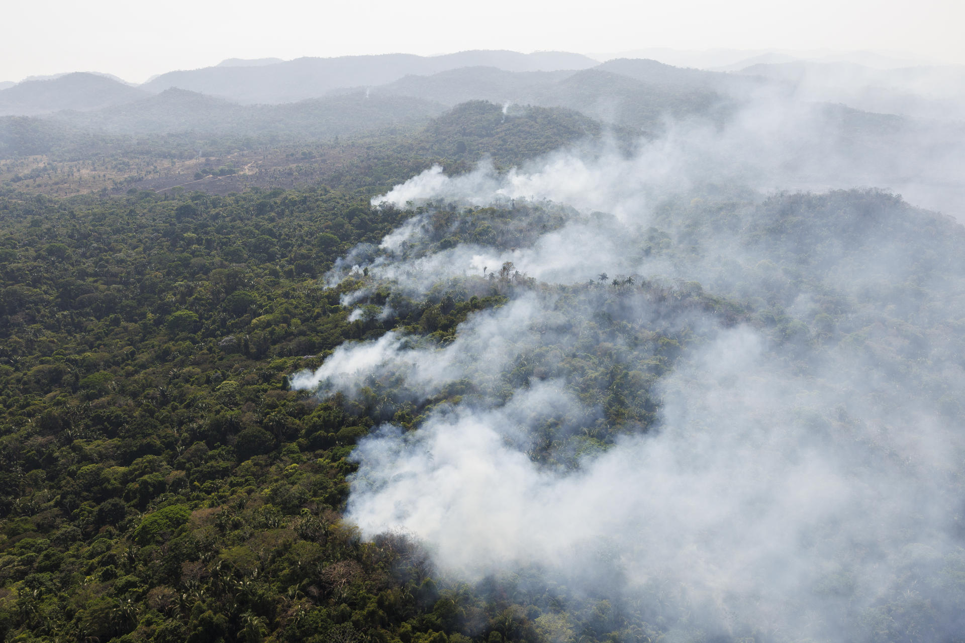 La Amazonía brasileña registra en 2025 la menor superficie quemada en 41 años
