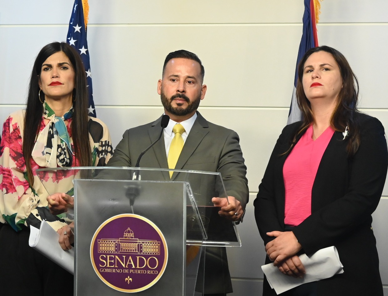 Delegación del Partido Popular Democrático (PPD)