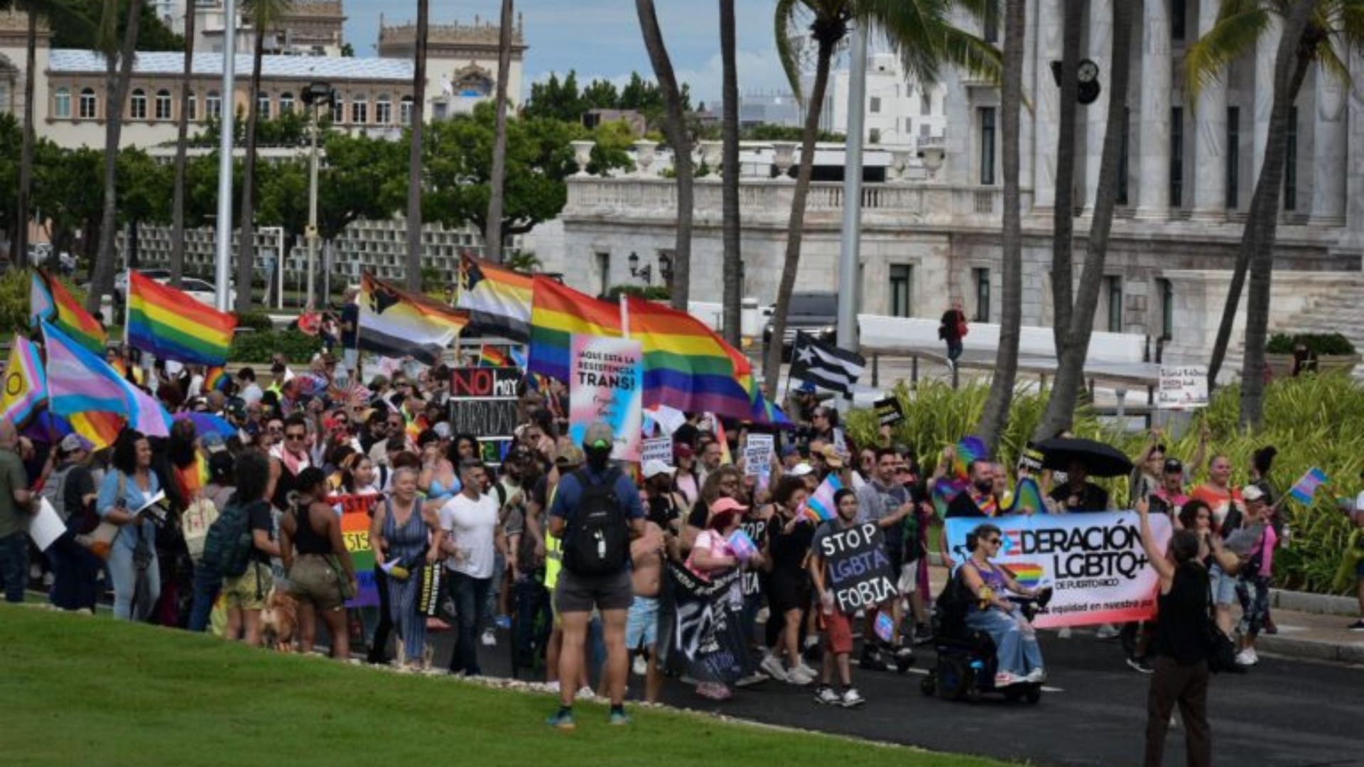 LGBTQ+