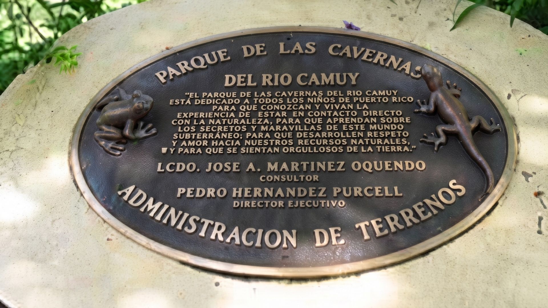 Sociedad Espeleológica de Puerto Rico