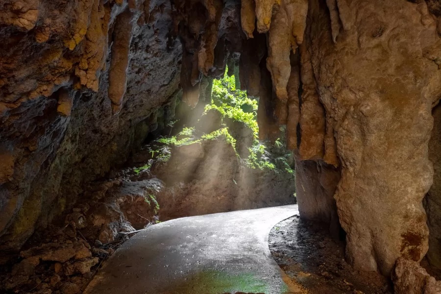 Las Cavernas del Río Camuy: conservar también es permitir su disfrute