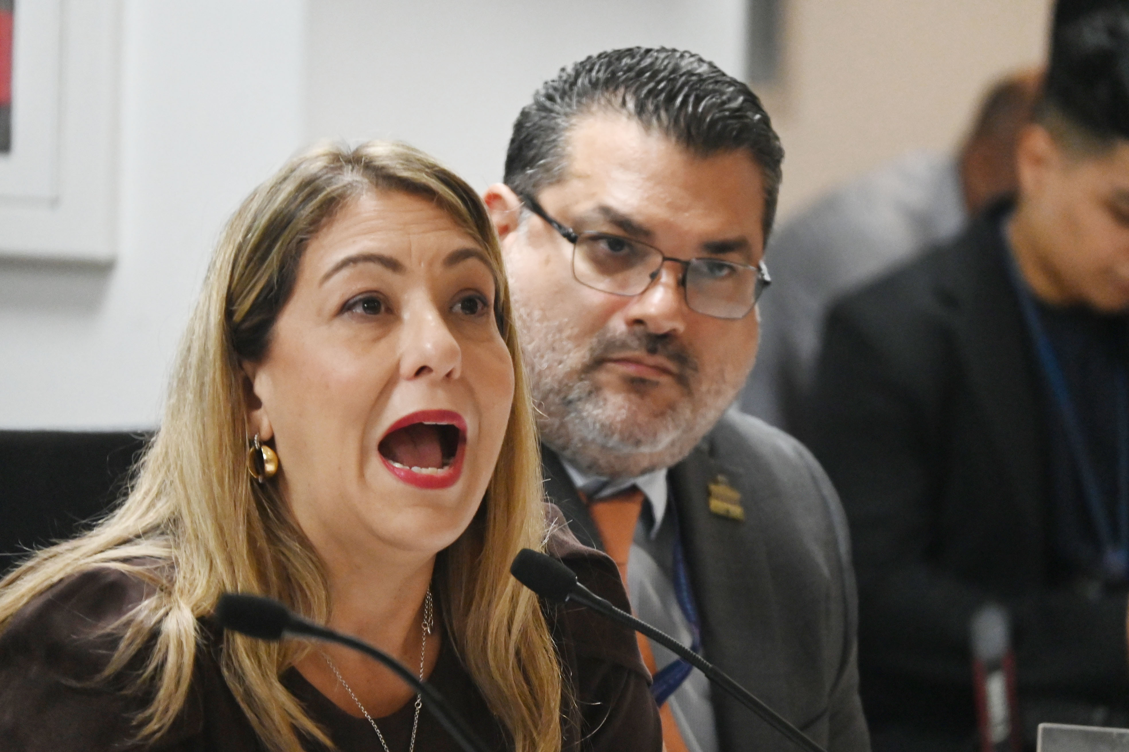 Suzanne Roig Fuertes