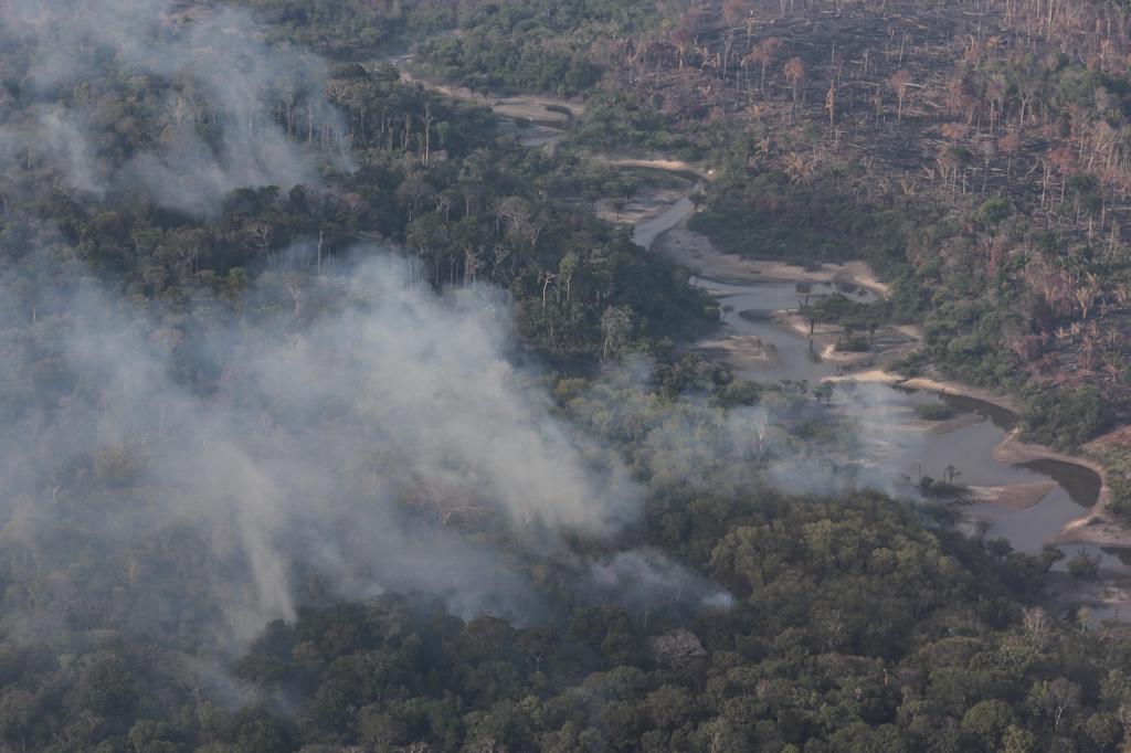 La deforestación en la Amazonía brasileña cae a su menor nivel en casi 40 años