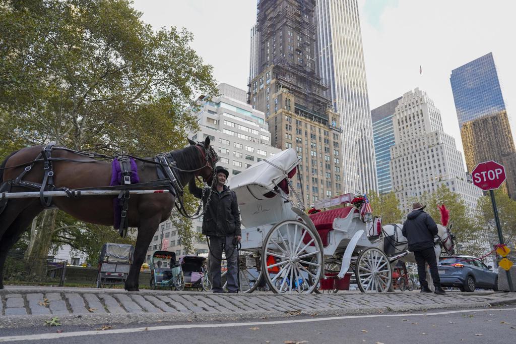 Nueva York aprueba la ley que prohibirá los carruajes tirados por caballos en junio 2028
